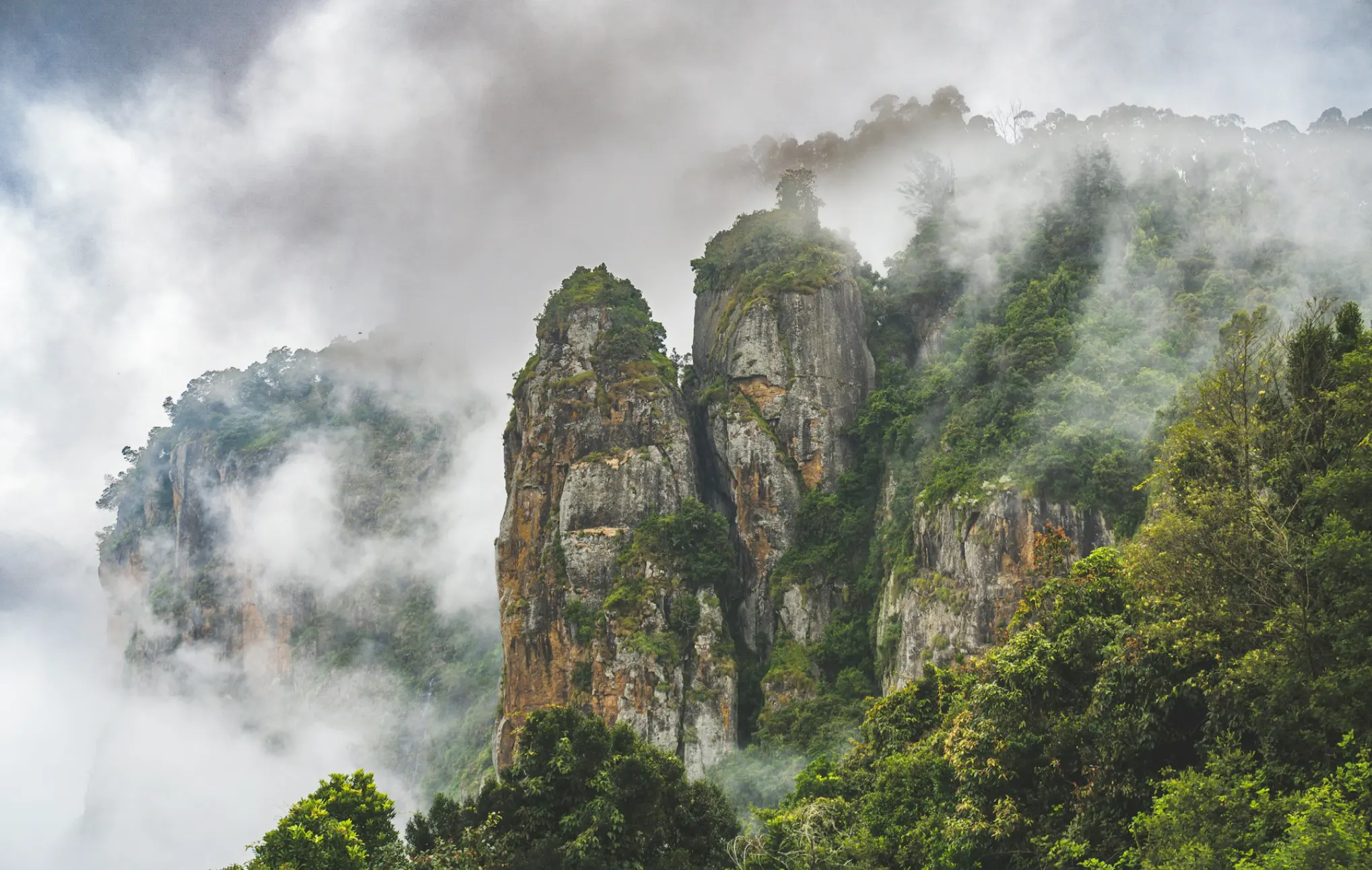 Signature Travel Experiences