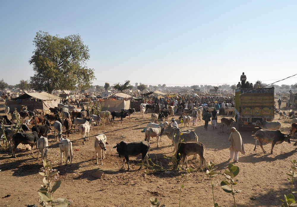 Experience India