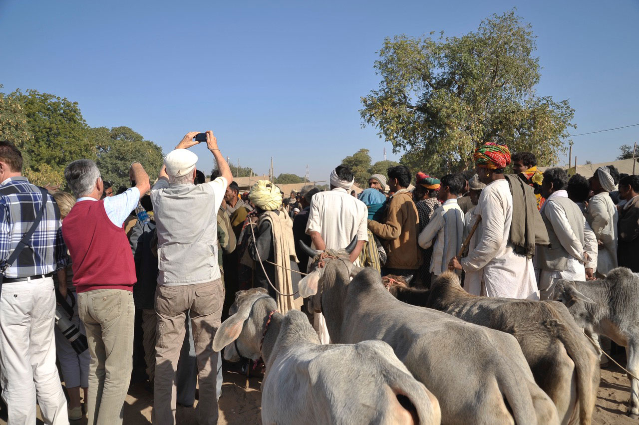 Experience India