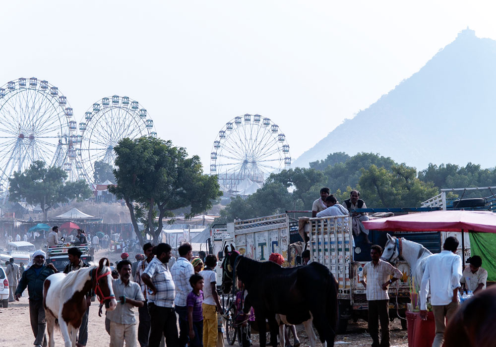 PUSHKAR CAMEL FAIR EXPERIENCE